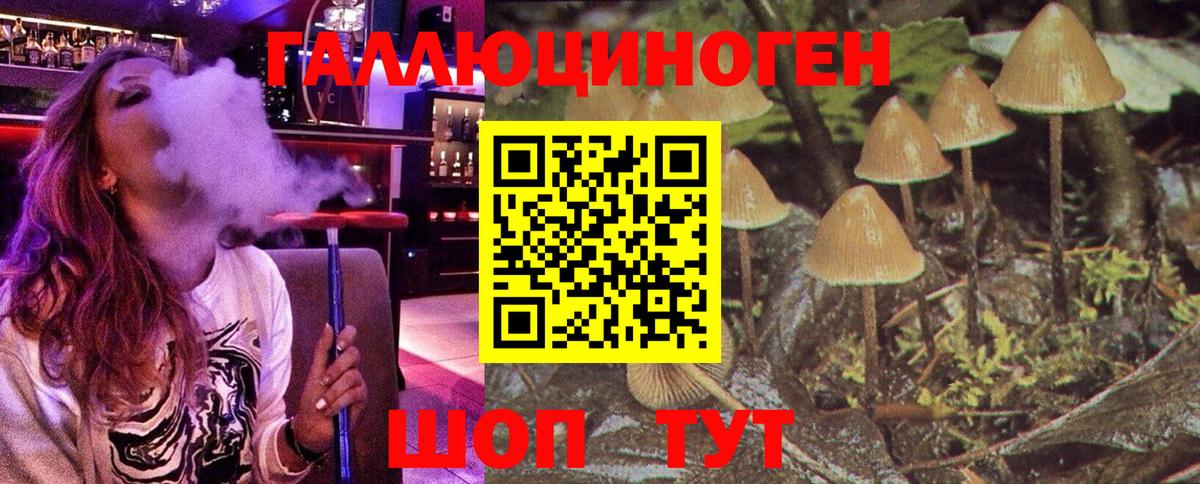 Сухой Лог  Псилоцибиновые грибы Psilocybine cubensis  Вход с VPN 